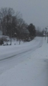 A Good Walk in the Snow Soothes the Soul     Mulberry Street, Milton