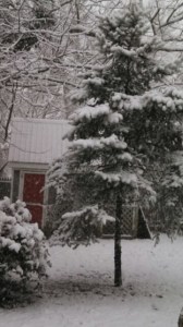 5a88f0a011dafe2f2b4bc9307ede8b71