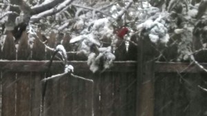 6d39475057fd6b766a6df3d86100e5b8