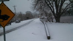 f5c40063015907849de787bbb96b5bc4