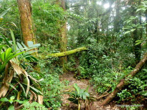 The path must be there somewhere